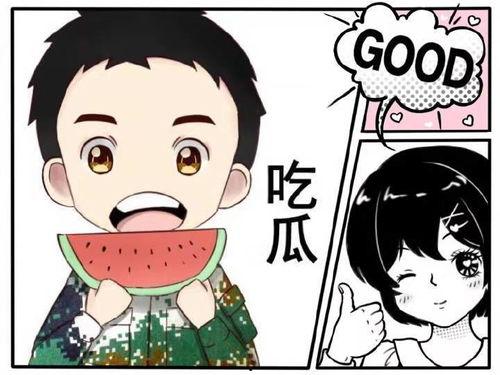 娱乐吃瓜风格是什么意思啊,揭秘“吃瓜群众”的娱乐吃瓜风格
